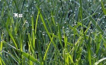 ������� ������ � ��� �� 14 ������