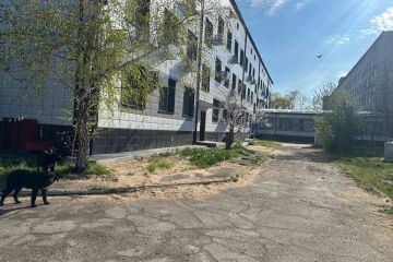 ������������� ������� ����������� 3000 ��. � ����� � ���