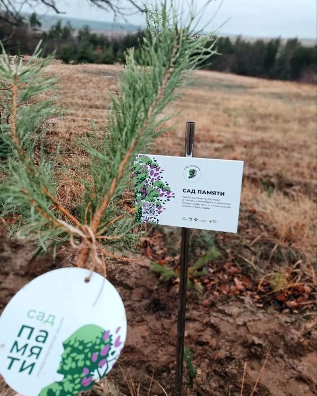 � ������ � ������ � �������������� ������ �������� 35 �������� � ������ ����� ���� ������