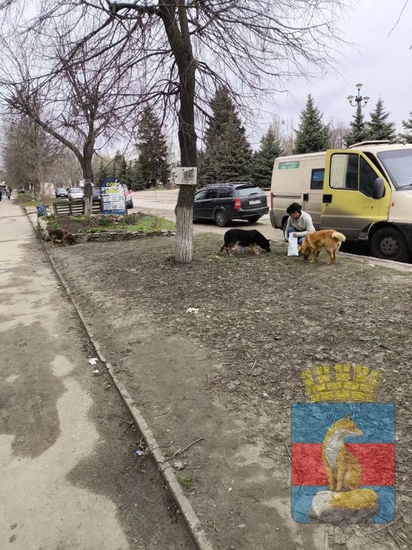 В Лисичанске продолжаются мероприятия по обращению с животными без владельцев В Лисичанске продолжаются мероприятия по обращению с животными без владельцев