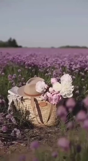 С добрым утром, жители Новоайдарского округа! Всем хорошего дня!