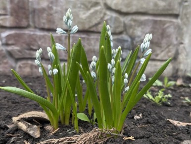 � ������ �����, ������ ����������� �������������� ������!