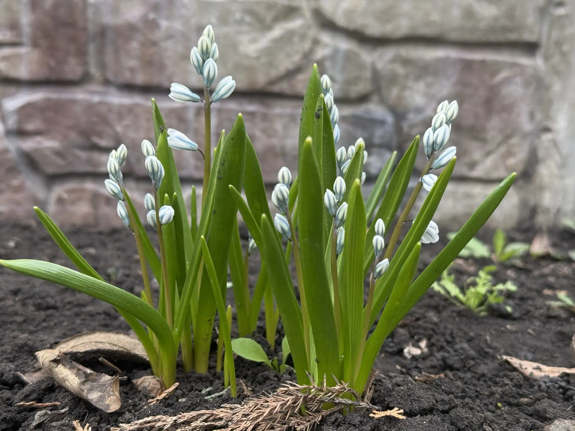 С ДОБРЫМ УТРОМ, ЖИТЕЛИ МАРКОВСКОГО МУНИЦИПАЛЬНОГО ОКРУГА!