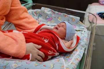 �� ������ � 6 �� 12 ������ � ��� �������� 96 �����