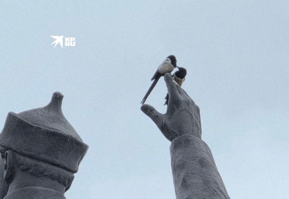 Кадр дня. Климент Ворошилов — человек-легенда, маршал, первый красный офицер Кадр дня. Климент Ворошилов — человек-легенда, маршал, первый красный офицер