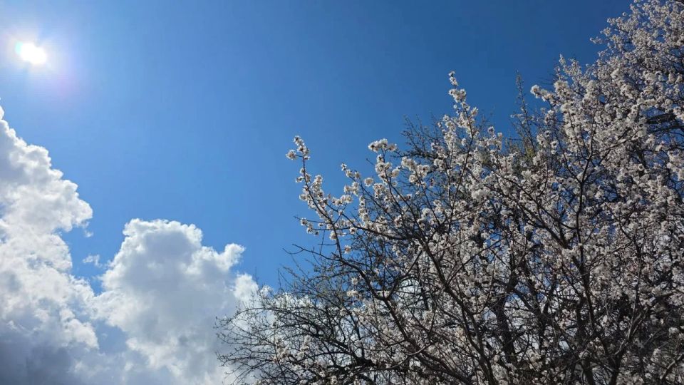 �������-��. ������ +19 �� �������� - ���������� ����������, ��� �������