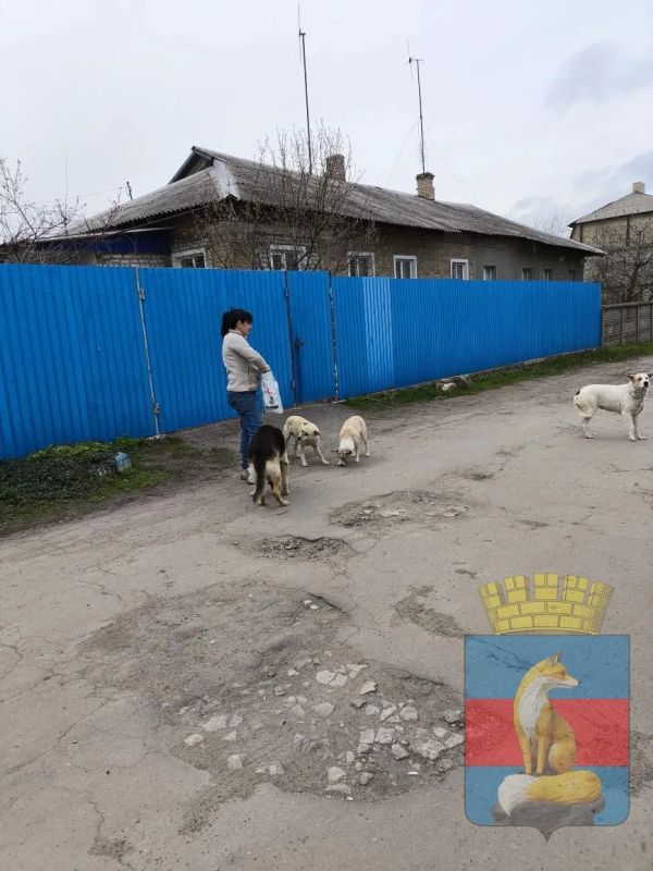 В Лисичанске продолжаются мероприятия по обращению с животными без владельцев В Лисичанске продолжаются мероприятия по обращению с животными без владельцев