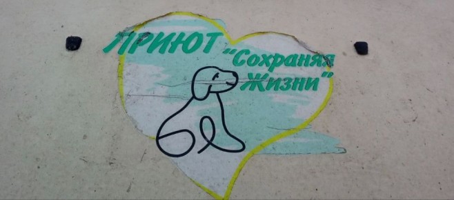 В Лисичанске продолжаются мероприятия по обращению с животными без владельцев