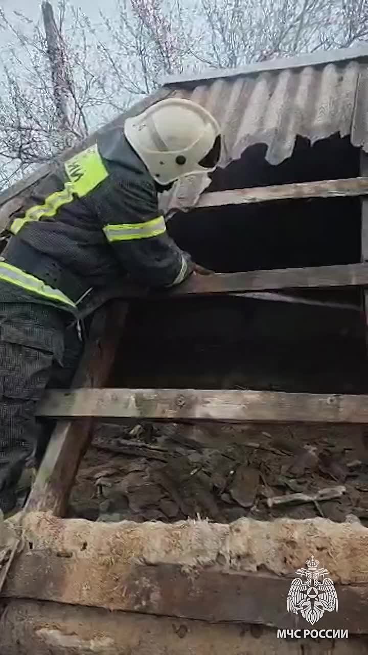 На пожаре в Луганске погиб пенсионер