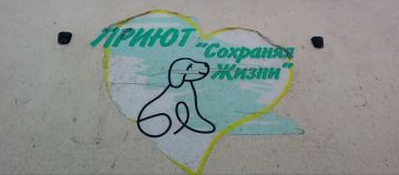 В Лисичанске продолжаются мероприятия по обращению с животными без владельцев