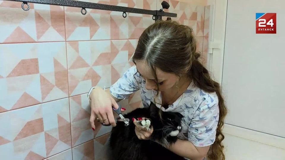 �������� ������ � �����: ��� ��������� �� ��������