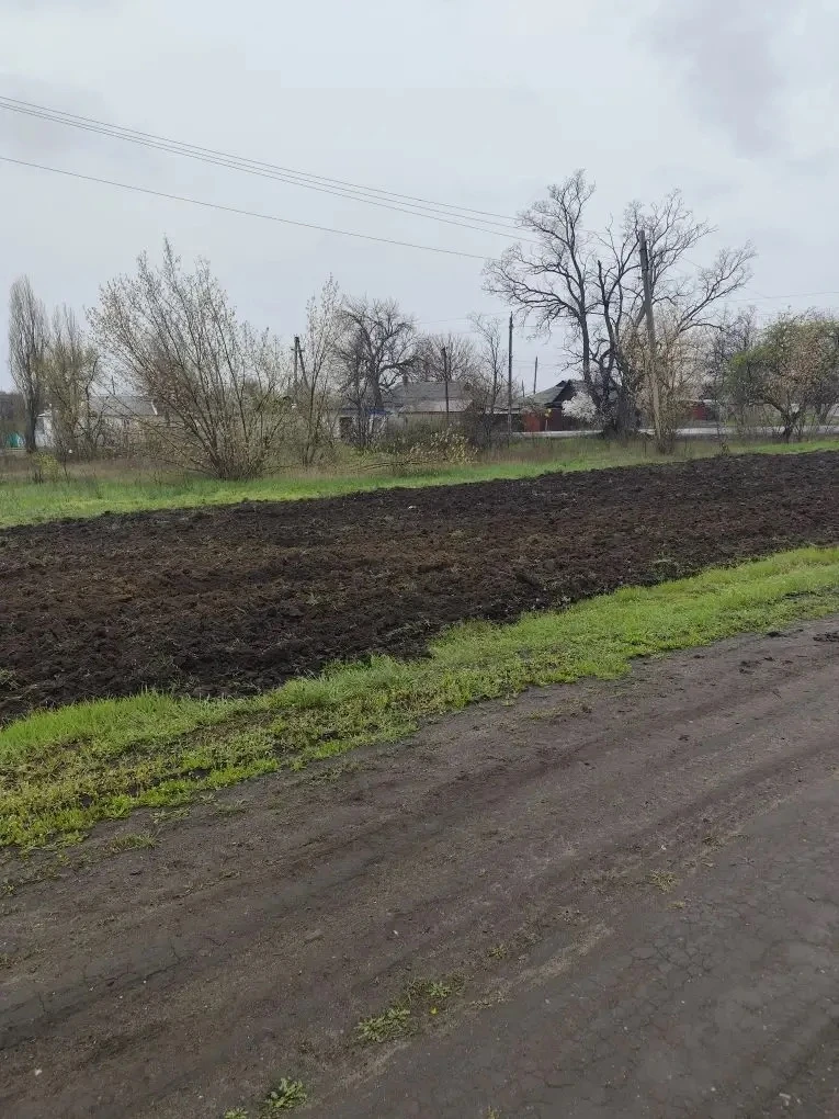 Сергей Козенко: Обновление противопожарных минерализованных полос Сергей Козенко: Обновление противопожарных минерализованных полос