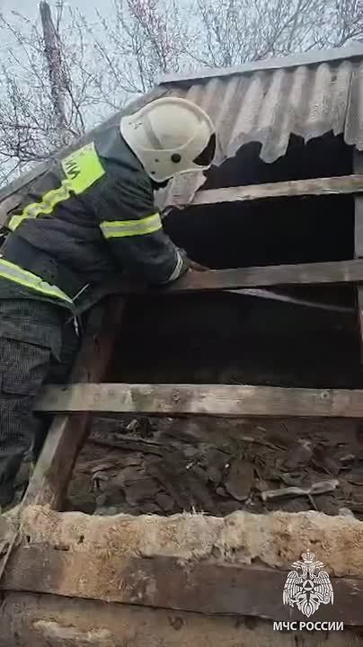 � �������� �� ������ ����� �������