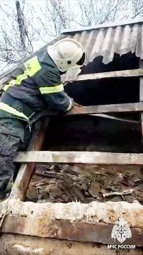 Луганчане, россияне, будьте осторожны с огнём!