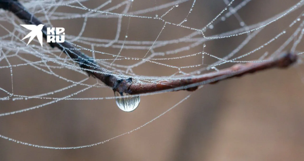 Погода в ЛНР на 15 апреля. Сегодня в Луганске и по республике погода с характером