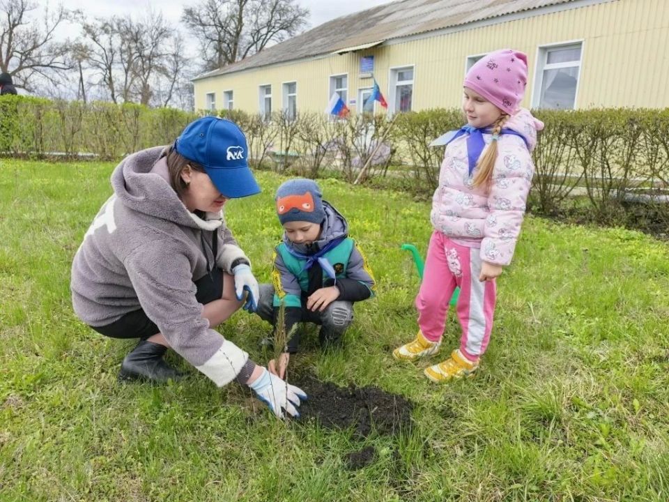 Детский сад "Ромашка" пгт Чернухино подключился к международной акции «Сад памяти», целью которой стала высадка деревьев в память о погибших в годы Великой Отечественной войны Детский сад "Ромашка" пгт Чернухино подключился к международной акции «Сад памяти», целью которой стала высадка деревьев в память о погибших в годы Великой Отечественной войны