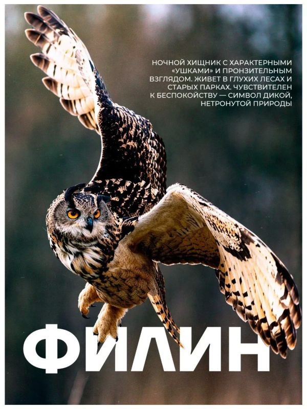 В ЛНР появится уникальная экспозиция под открытым небом - редкие животные и растения «оживут» с помощью QR-кодов В ЛНР появится уникальная экспозиция под открытым небом - редкие животные и растения «оживут» с помощью QR-кодов