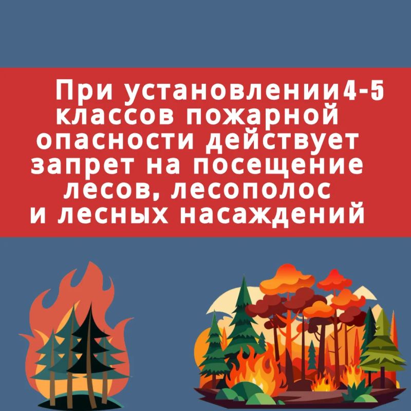 Особый противопожарный режим – это не просто набор правил, а призыв к ответственности каждого из нас Особый противопожарный режим – это не просто набор правил, а призыв к ответственности каждого из нас