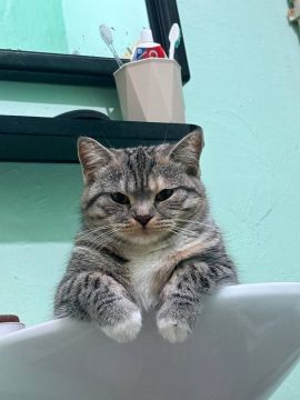 17 апреля на территории Луганской Народной Республики прогнозируется переменная облачность