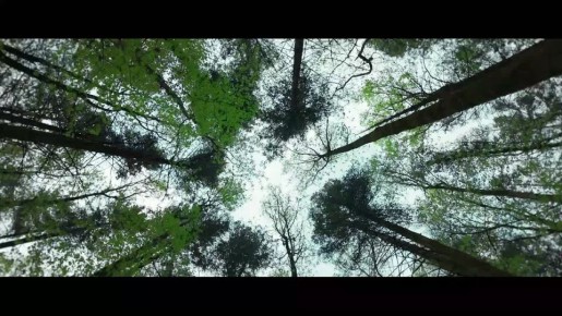 �����������: ����������� ������ � ����������� �������������� ������������