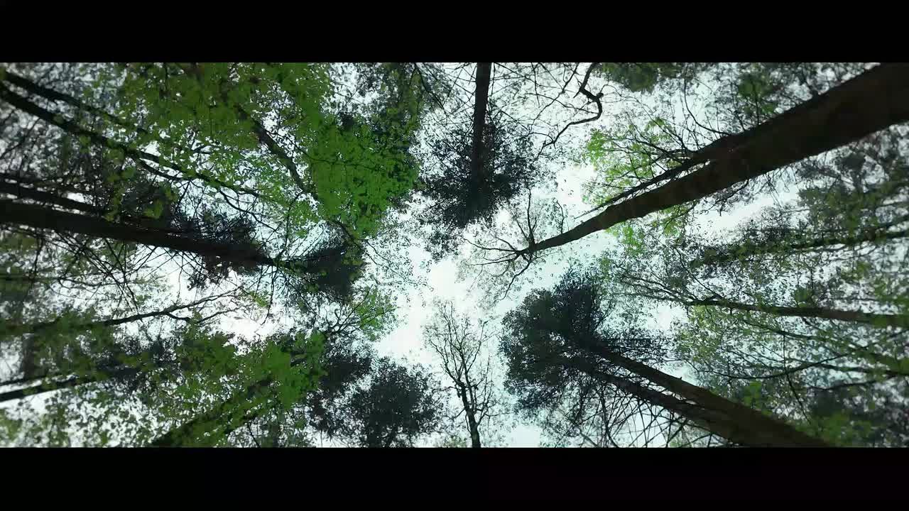 Экомаршруты: путешествуй вместе с нацпроектом «Экологическое благополучие»