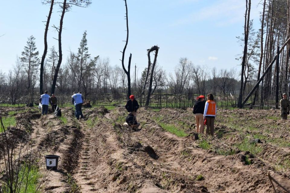 Жители Старобельского округа высадили саженцы ели в селе Половинкино в рамках международной акции «Сад памяти» Жители Старобельского округа высадили саженцы ели в селе Половинкино в рамках международной акции «Сад памяти»