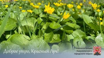 Доброе утро, краснолучане!