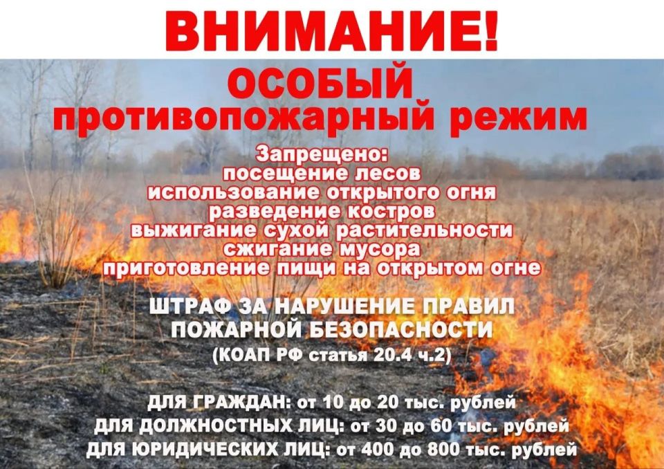 Министерство труда и социальной политики ЛНР приглашает семьи нашего региона принять участие в региональном этапе Всероссийского конкурса «Семья года» Министерство труда и социальной политики ЛНР приглашает семьи нашего региона принять участие в региональном этапе Всероссийского конкурса «Семья года»