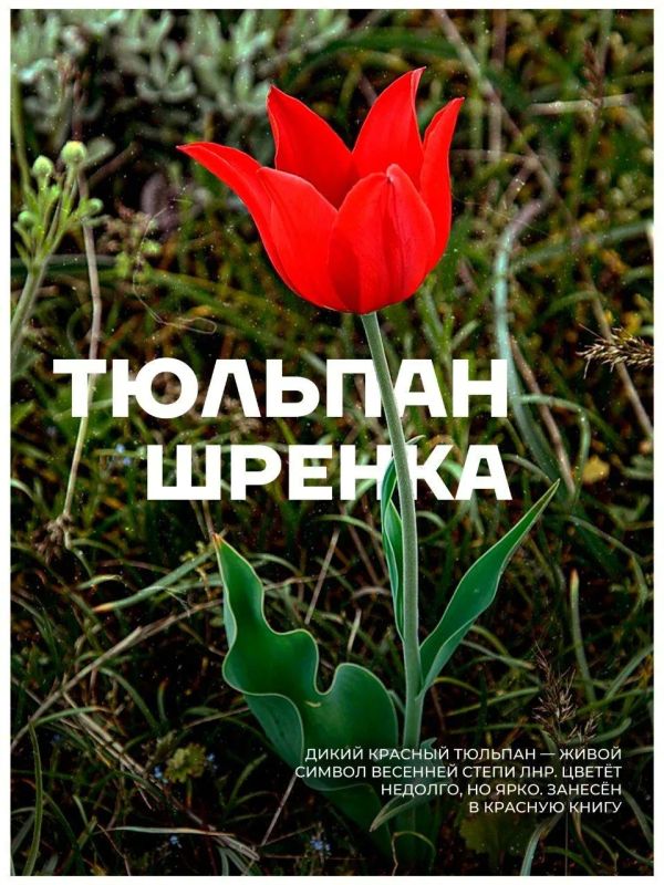 В ЛНР появится уникальная экспозиция под открытым небом "краснокнижных" животных и растений В ЛНР появится уникальная экспозиция под открытым небом "краснокнижных" животных и растений