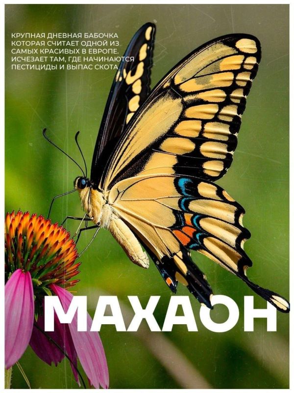 ���������� �������� � �������������� ��������� � ���������� ������� � ���