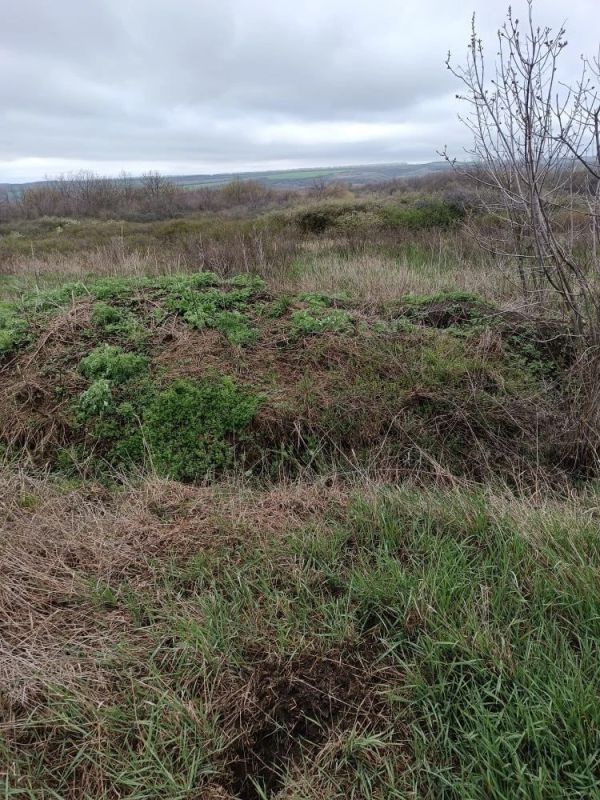 ������� ����������� ����� �������������� �������������� ������ ������ ��������� �������� ������ ������� � ������������� �������������� ����� ���� ������