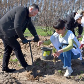 ������ �������������� ������ �������� ������� ��� � ���� ����������� � ������ ������������� ����� ���� ������