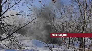 ������ � ���������� - ���� ����� � ����������� ������������ ���������!