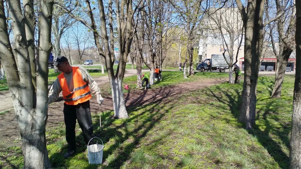 Сотрудники МУП «ЖЭК» благоустроили сквер у памятника «Черный тюльпан» Сотрудники МУП «ЖЭК» благоустроили сквер у памятника «Черный тюльпан»