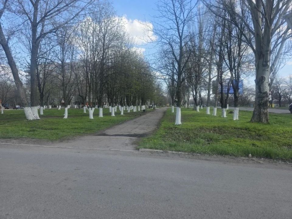 Сотрудники МУП «ЖЭК» благоустроили сквер у памятника «Черный тюльпан» Сотрудники МУП «ЖЭК» благоустроили сквер у памятника «Черный тюльпан»