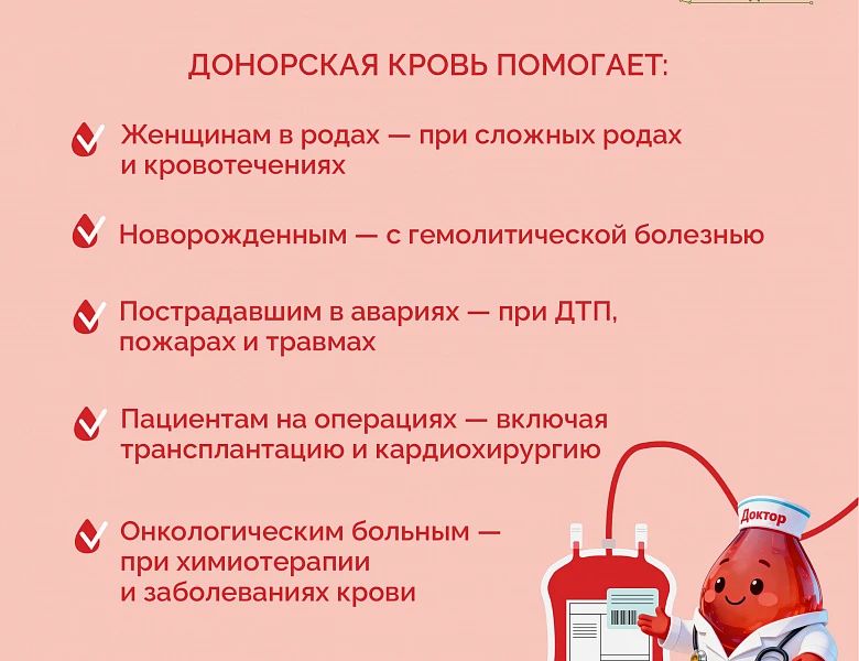 � 13 �� 19 ������ 2026 ���� � ������ �������� ������ ������������� ��������� ����� � �������� �����