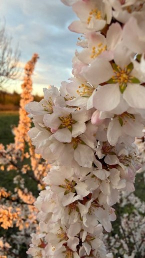 ��������� ������������ 17 ������ � ��� �� ���� 2 �������� ����� �� 22 �������� ����� ����, ����� ������� ��������� ��������� �� ����� 3 �������� � �����