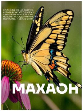 В ЛНР появится уникальная экспозиция под открытым небом "краснокнижных" животных и растений