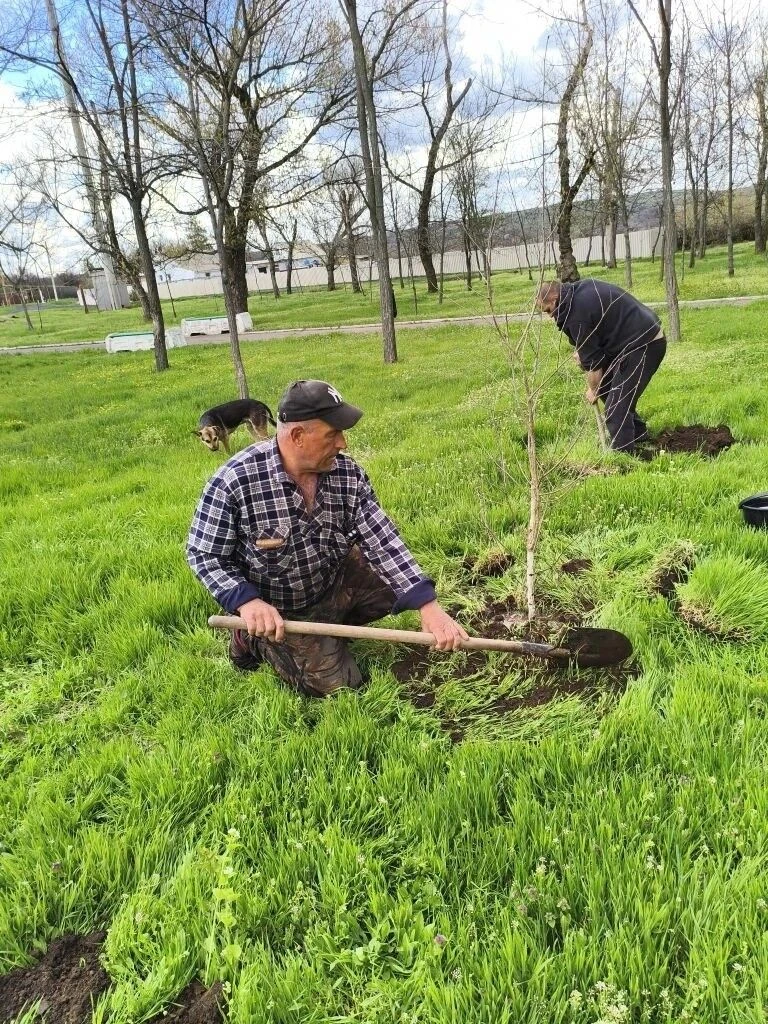 В селе Орехово состоялась акция «Сад Памяти» В селе Орехово состоялась акция «Сад Памяти»