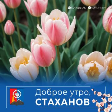 ������ ����, ������ �����!