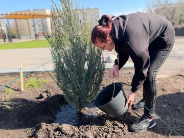 ������ �������: �������� ���������� ��������� ���������� ������ �����������: ��� �� ������ ����������� ����� ������������ ���, �� � ������������ ��������� ������������� ����������