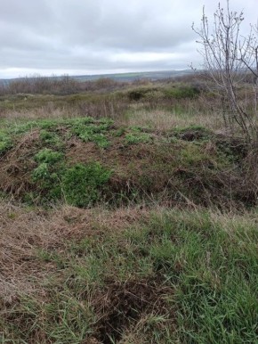 ������������ ���� ����������� ������ �������� �� ���������� ������