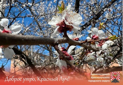 ������ ����, ������������!