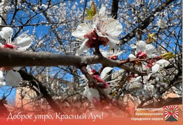 ������ ����, ������������!