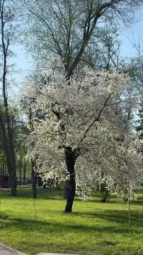 ����� � ������. ����� ���� ���������� � ����� ������� � ���� ����� ������ ����� �������! ��� ����������? ��� ���� ���������� �������? �������� � ������������