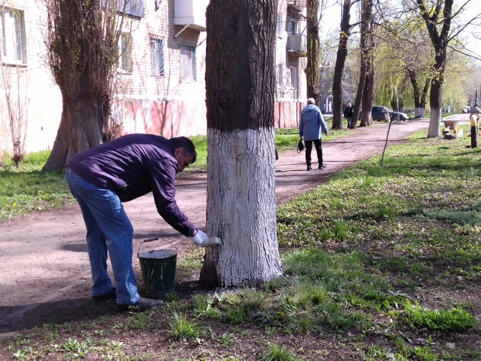 В Суходольске провели городской субботник В Суходольске провели городской субботник