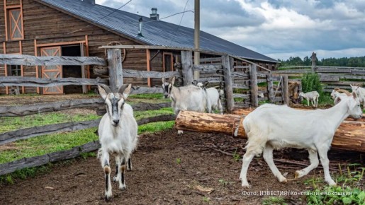 ��� ���� ���� ��� � ������� ������ ����� ����� � ����� � ������ �������