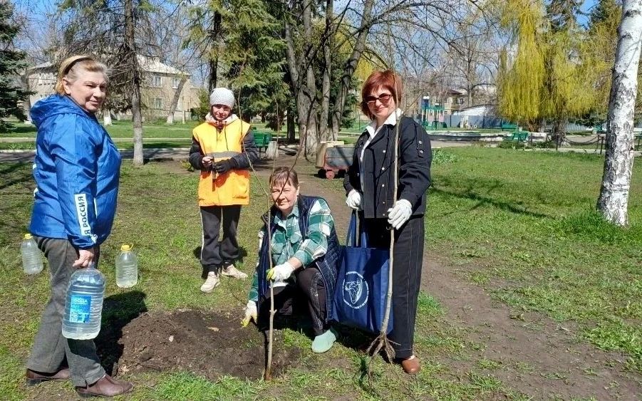 Дубовский активно участвует в Международной акции «Сад Памяти» Дубовский активно участвует в Международной акции «Сад Памяти»