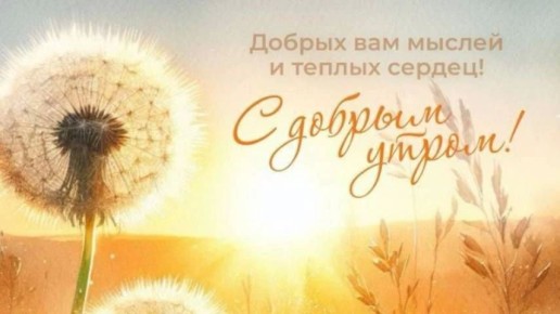 ������� ������� - 17 ������