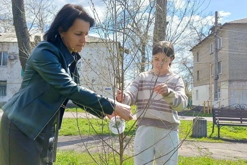 Дубовский активно участвует в Международной акции «Сад Памяти» Дубовский активно участвует в Международной акции «Сад Памяти»